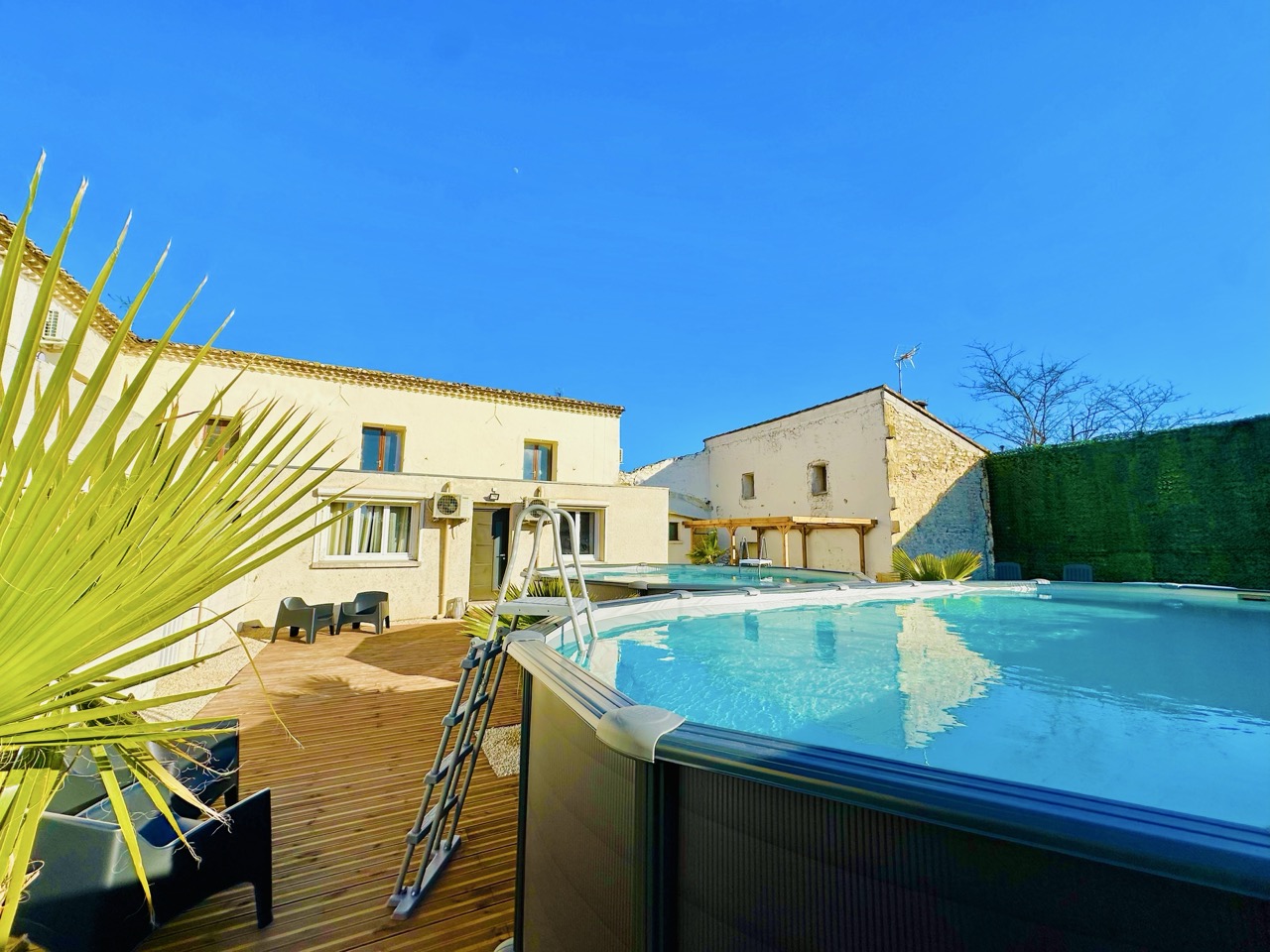 IMG_5693%20 %20Grande.jpeg